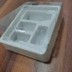 Injection Packaging Tray with Lid
